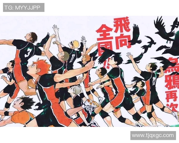 从零基础到排球高手:全面提升耐力与技巧的实用指南 从零基础到排球高手:全面提升耐力与技巧的实用指南