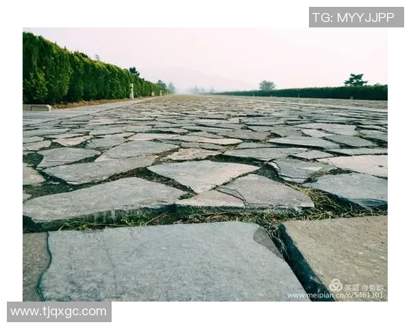 与吴娜畅聊网球生涯的点滴与挑战,探寻她的成长与梦想 与吴娜畅聊网球生涯的点滴与挑战,探寻她的成长与梦想