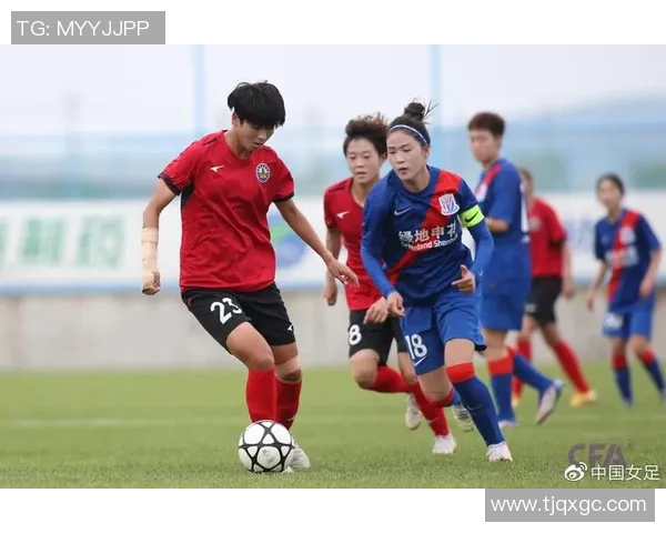 广州排球队以96分稳居联赛积分榜首位展现强劲实力 广州排球队以96分稳居联赛积分榜首位展现强劲实力