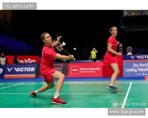 南京羽毛球队精英赛精彩配合表现分析与未来展望